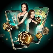 116bet